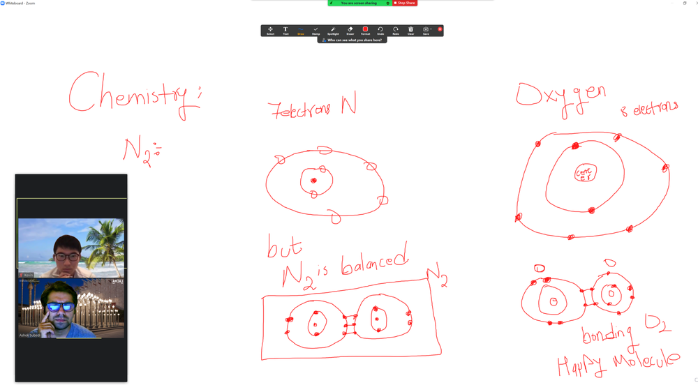 Live online science tutoring session with molecular diagrams on a shared whiteboard